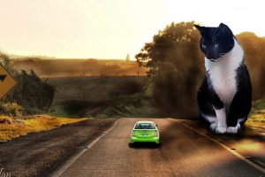 cat, Giant, Car, Road, Landscape, Digital art, Photo manipulation