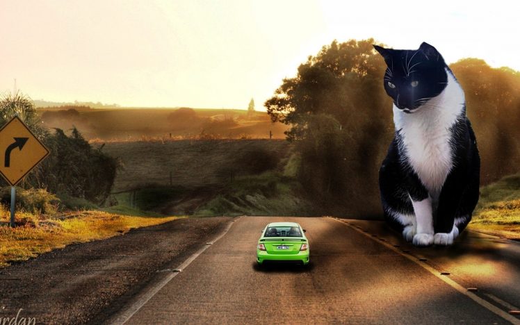 cat, Giant, Car, Road, Landscape, Digital art, Photo manipulation HD Wallpaper Desktop Background