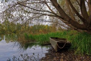 boat, Water, Grass, Trees, Fall, Landscape