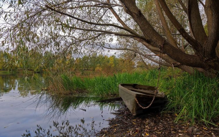 boat, Water, Grass, Trees, Fall, Landscape HD Wallpaper Desktop Background