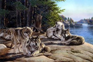 Al Agnew, Wolf, Animals, Landscape, Painting