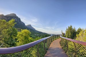 Cape Town, South Africa, Table Mountain, Bridge, Nature, Trees, Kirstenbosch National Botanical Garden, Sky, Sun rays
