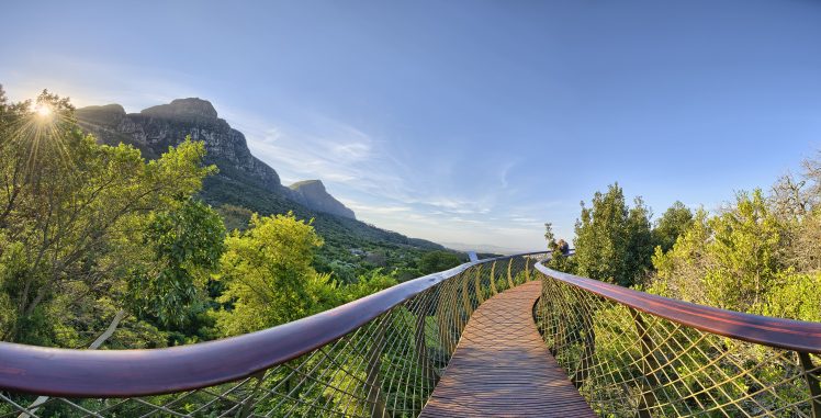 Cape Town, South Africa, Table Mountain, Bridge, Nature, Trees, Kirstenbosch National Botanical Garden, Sky, Sun rays HD Wallpaper Desktop Background