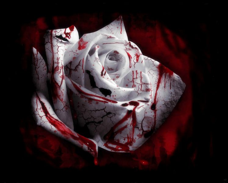 rose, Blood spatter, White flowers, Plants, Blood HD Wallpaper Desktop Background