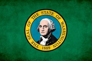 Washington state, Flag