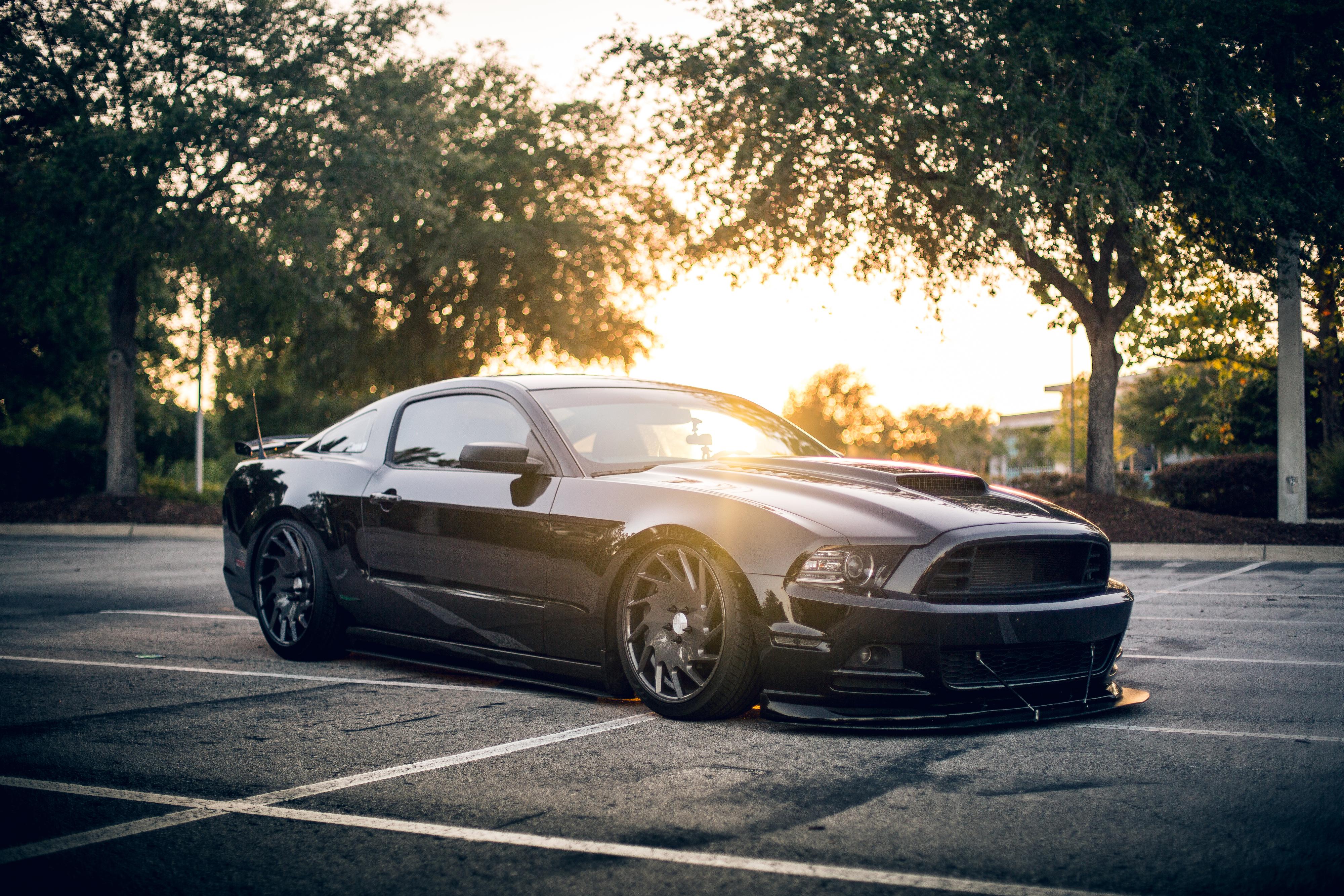 car, Ford Mustang Shelby, Trees, Black Wallpaper