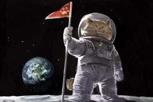 cat, Spacesuit, Flag, Earth, Moon, Digital art, Space