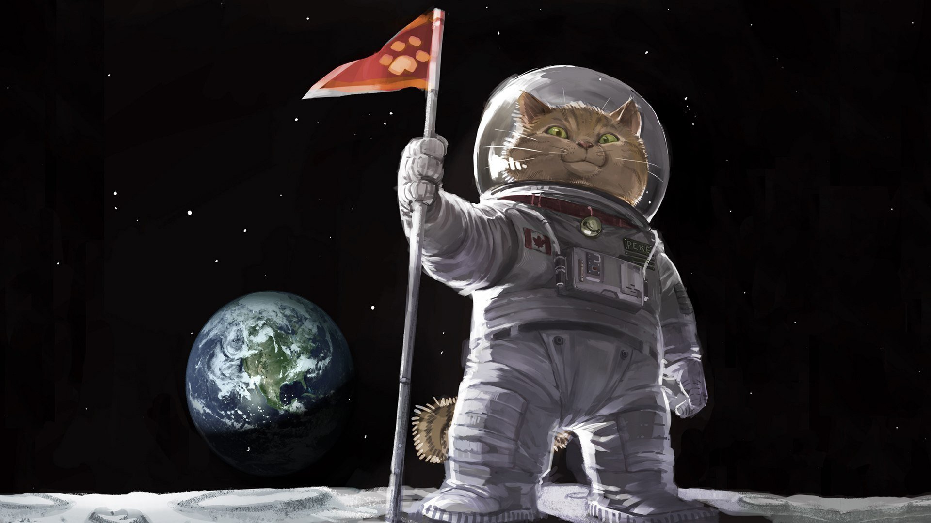 cat, Spacesuit, Flag, Earth, Moon, Digital art, Space Wallpaper