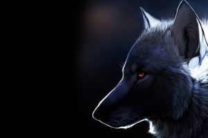 wolf, Nature, Fantasy art, Glowing eyes, Dark, Animals