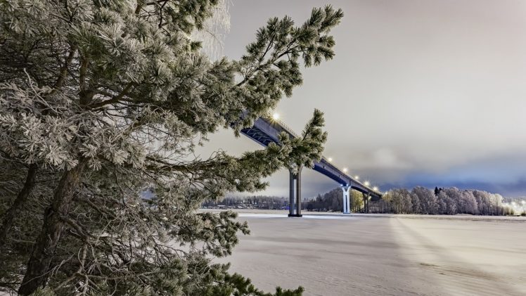 landscape, Bridge, Trees, Winter HD Wallpaper Desktop Background