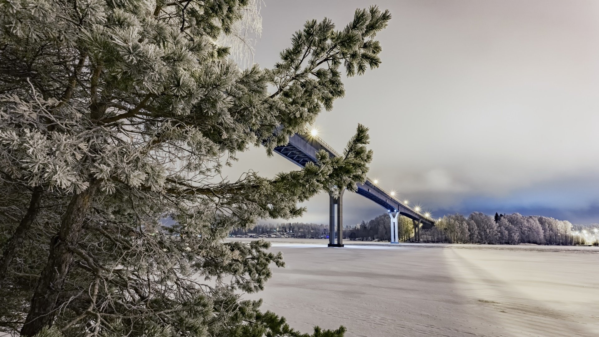 landscape, Bridge, Trees, Winter Wallpaper