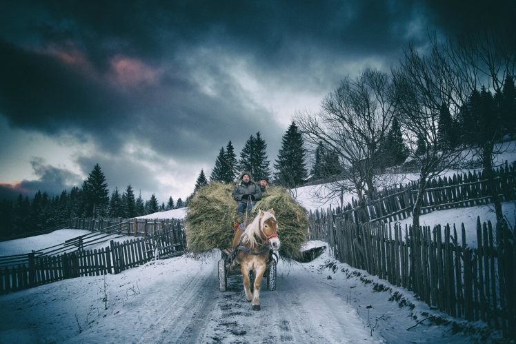 people, Animals, Horse, Winter HD Wallpaper Desktop Background