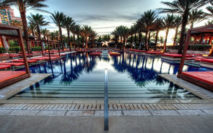 swimming pool, Palm trees, Reflection, Sky HD Wallpaper Desktop Background