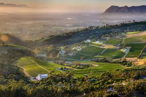 Cape Town, Constantia, Vineyard, Mountains, Aerial view