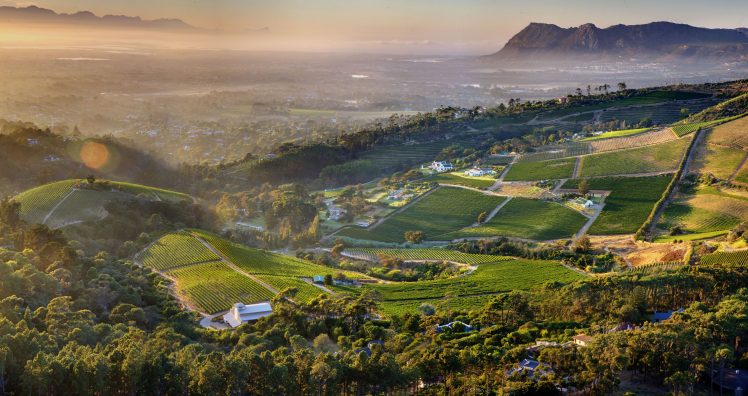 Cape Town, Constantia, Vineyard, Mountains, Aerial view HD Wallpaper Desktop Background