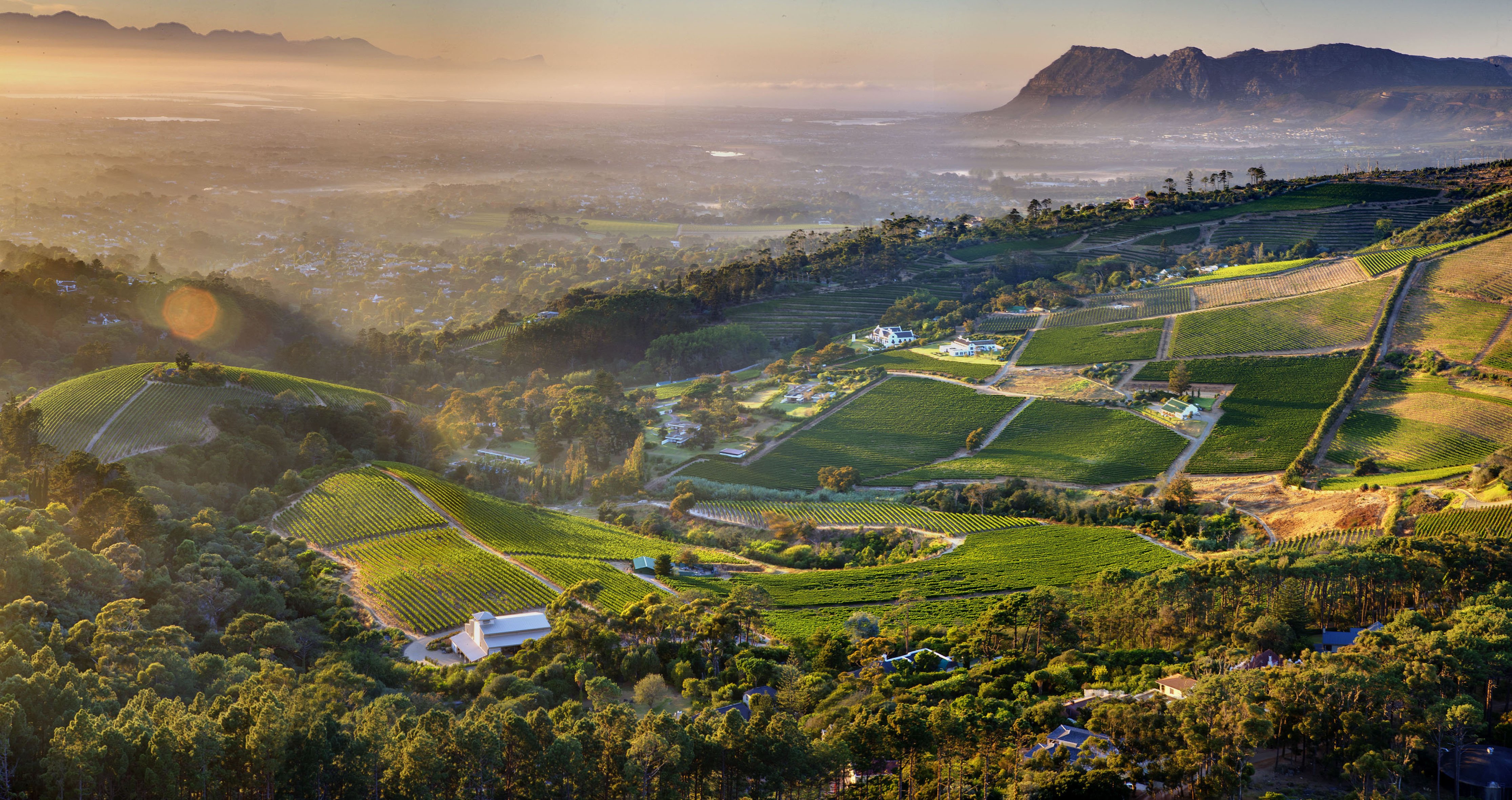 Cape Town, Constantia, Vineyard, Mountains, Aerial view Wallpaper