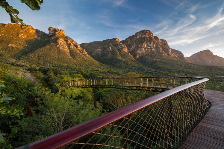 Cape Town, Kirstenbosch National Botanical Garden, Mountains, Trees, Bridge, Nature HD Wallpaper Desktop Background