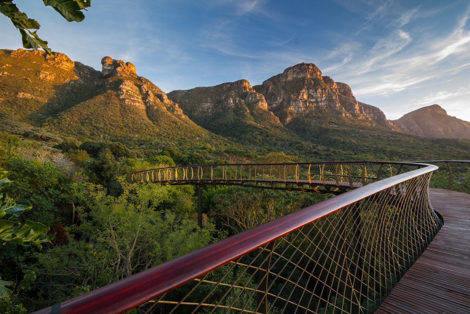 Cape Town, Kirstenbosch National Botanical Garden, Mountains, Trees, Bridge, Nature Wallpaper