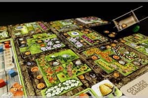 board games, Cottage garden