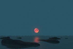 photography, Moonlight, Moon, Rock, Sea, Horizon