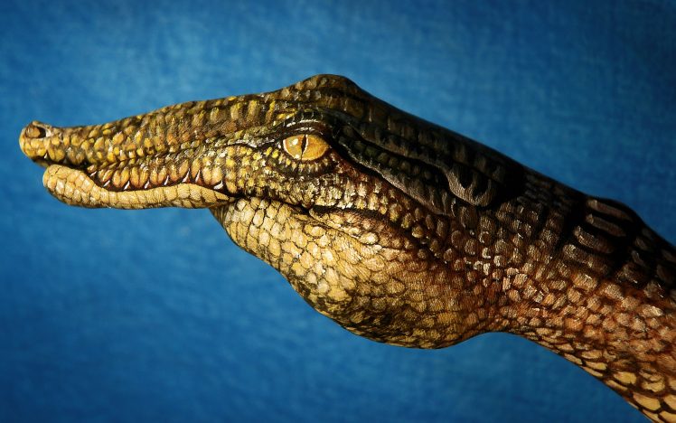 hands, Guido Daniel, Crocodiles, Digital art, Simple background HD Wallpaper Desktop Background
