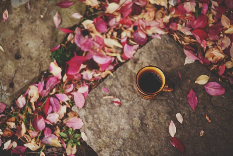 cup, Fall, Leaves, Fallen leaves, Coffee HD Wallpaper Desktop Background