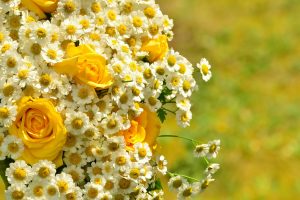 yellow roses, Chamomile, Bouquet, Bokeh, Flowers