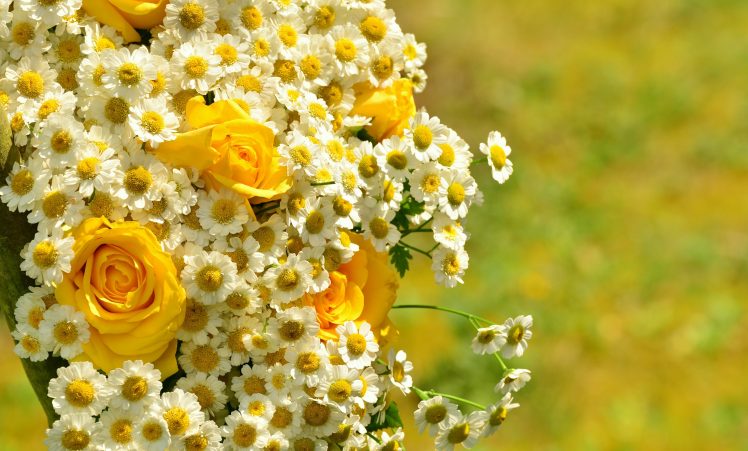 yellow roses, Chamomile, Bouquet, Bokeh, Flowers HD Wallpaper Desktop Background