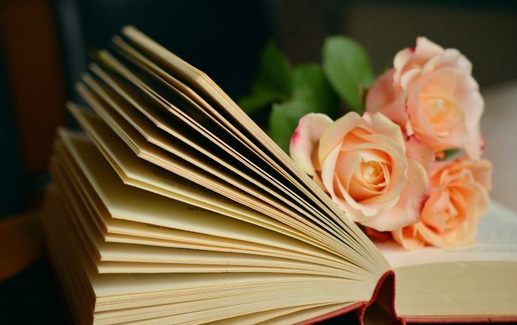 books, Rose, Leaves, Bokeh HD Wallpaper Desktop Background