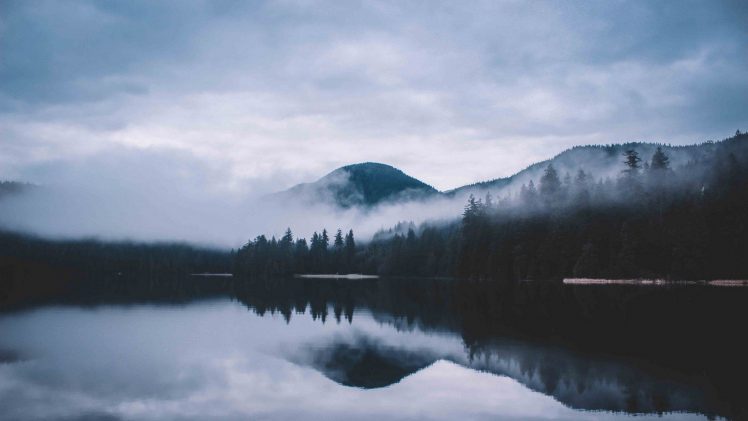 landscape, Lake, Mist
