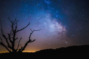 nature, Silhouette, Night, Stars, Trees, Branch, Milky Way, Clear sky, Hills