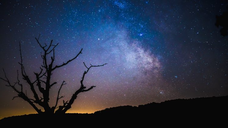 nature, Silhouette, Night, Stars, Trees, Branch, Milky Way, Clear sky, Hills HD Wallpaper Desktop Background