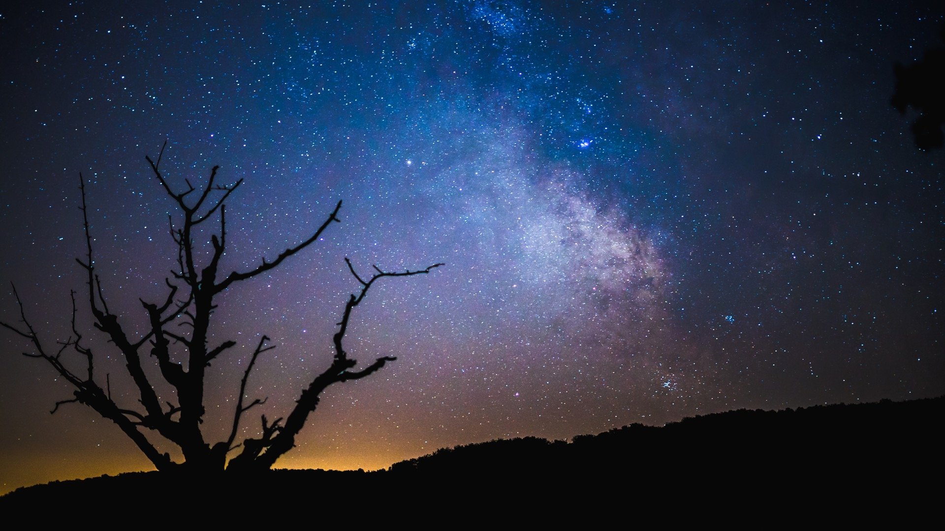 nature, Silhouette, Night, Stars, Trees, Branch, Milky Way, Clear sky, Hills Wallpaper