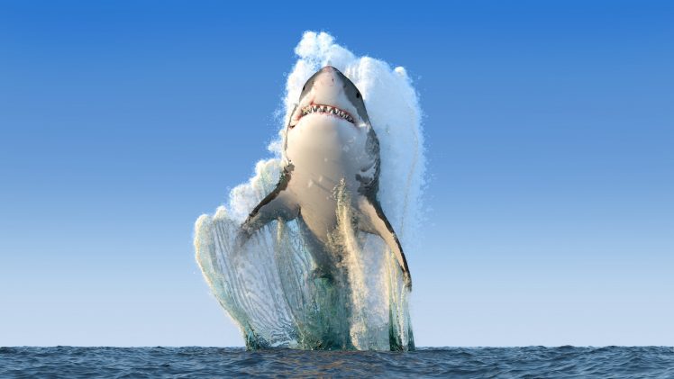 shark, Render, Sea, Fangs, Photoshop HD Wallpaper Desktop Background