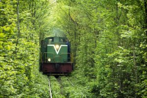 train, Railway, Forest, Tunnel of Love, Ukraine