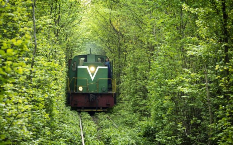 train, Railway, Forest, Tunnel of Love, Ukraine HD Wallpaper Desktop Background