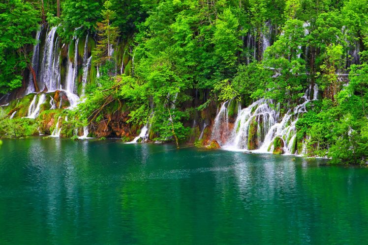 lake, Jungle, Waterfall, Landscape HD Wallpaper Desktop Background