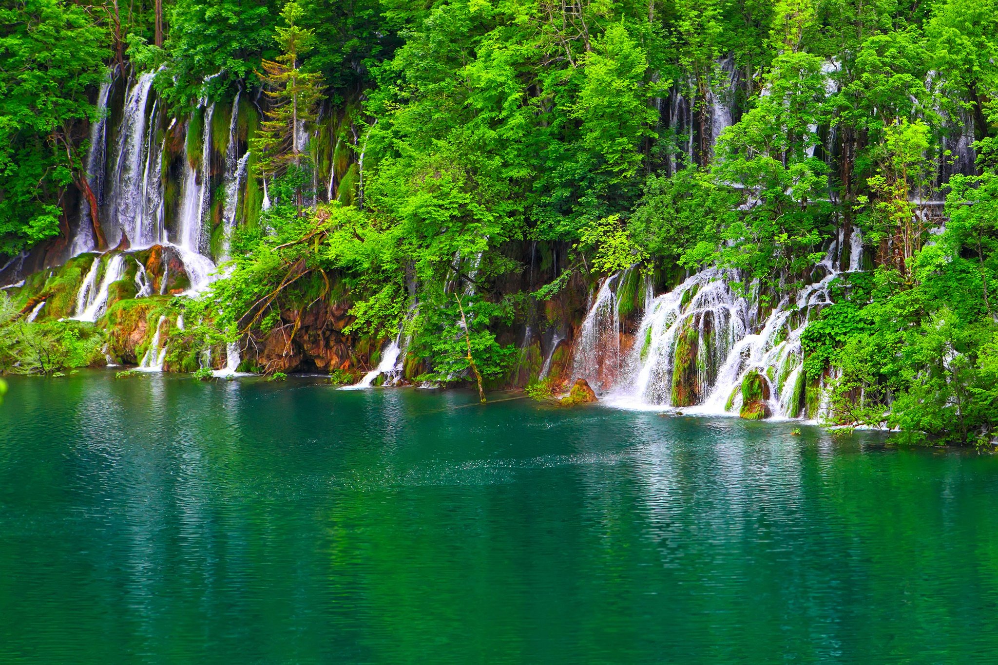 lake, Jungle, Waterfall, Landscape Wallpaper