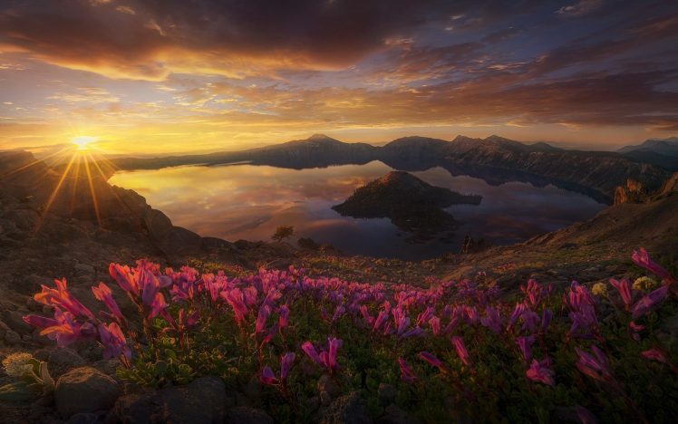 Marc Adamus, 500px, Sunlight, Nature, Landscape, Flowers, Sun rays HD Wallpaper Desktop Background