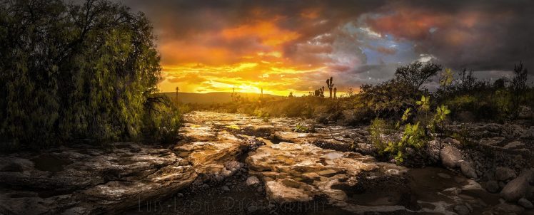 Luis Lyons, Digital art, Nature, Landscape, Sky, Sunlight, 500px HD Wallpaper Desktop Background