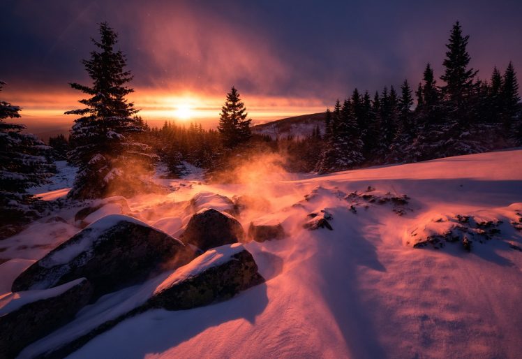 sunlight, Trees, Landscape, Snow HD Wallpaper Desktop Background