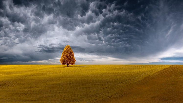 500px, Sky, Clouds, Landscape, Field, Trees, Digital art, Filter HD Wallpaper Desktop Background