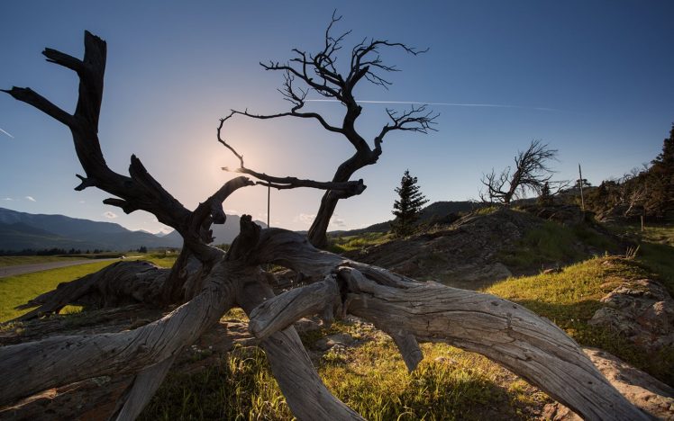 wood, Sky, Nature, Landscape HD Wallpaper Desktop Background