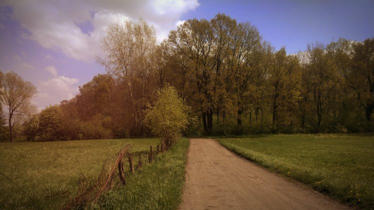 Poland, Spring, Forest, Landscape, Dirt road HD Wallpaper Desktop Background