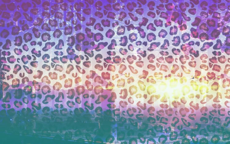 colourfull, Leopard HD Wallpaper Desktop Background