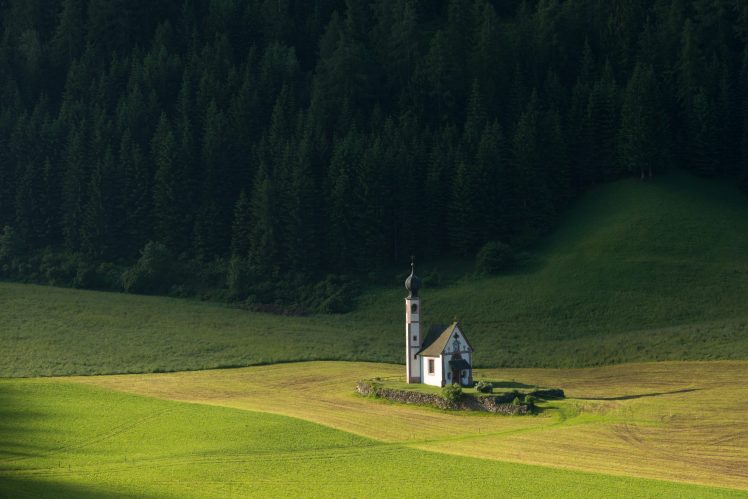 church, Alone, Trees, Forest, Field HD Wallpaper Desktop Background