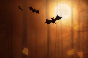 night, Moon, Trees, Fallen leaves, Bats, Digital art, Silhouette