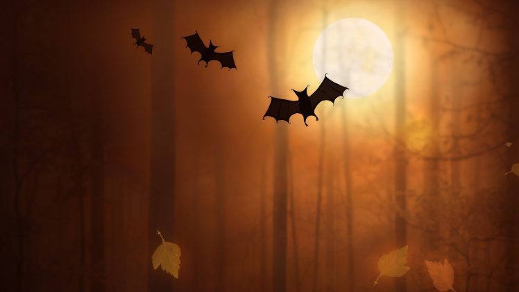 night, Moon, Trees, Fallen leaves, Bats, Digital art, Silhouette HD Wallpaper Desktop Background