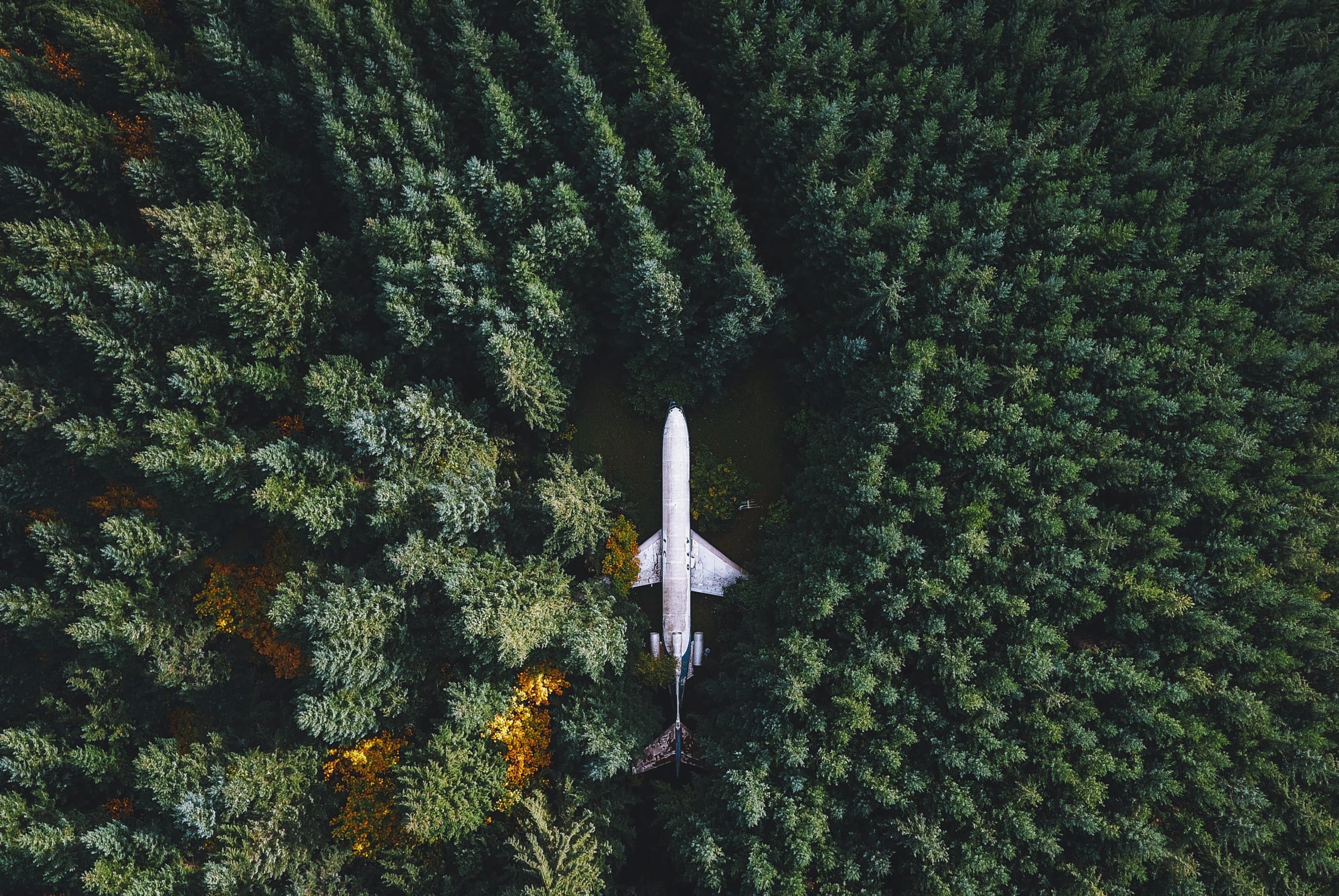 nature, Landscape, Airplane, Wreck, Forest, Trees, Drone, Aerial view Wallpaper