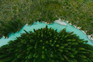 nature, Landscape, Drone, Aerial view, Trees, River